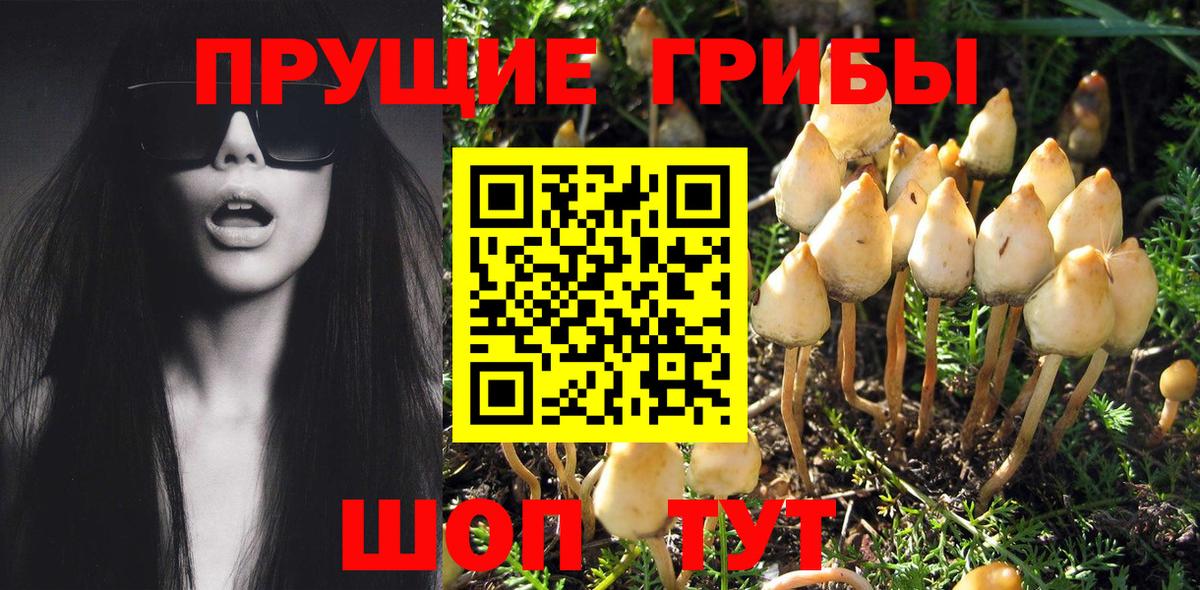 Псилоцибиновые грибы MAGIC MUSHROOMS  Вход с VPN  Апшеронск 
