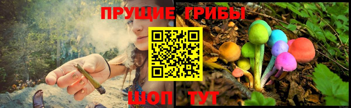 Псилоцибиновые грибы Magic Shrooms Апшеронск